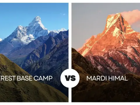 Everest Base Camp vs Mardi Himal Trek