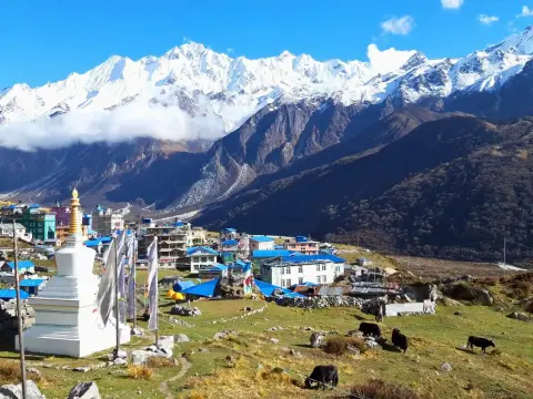 Langtang Valley Trek Training Plan