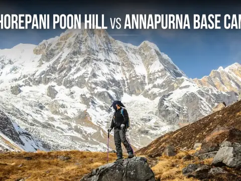 Ghorepani Poon Hill vs Annapurna Base Camp