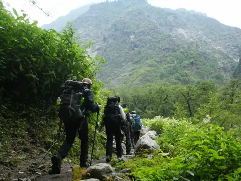 Langtang Valley vs Annapurna Base Camp