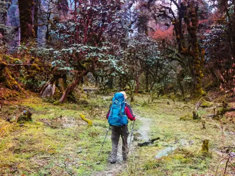 Customized Trekking in Nepal